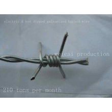 Electric & Hot Dipped Galvanized Barbed Wire